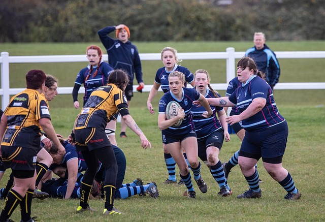 律建议并帮 律建议并帮